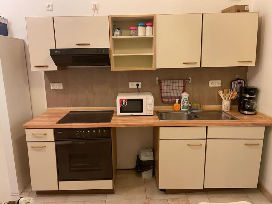 Helen Homestay Vysehrad 布拉格 外观 照片