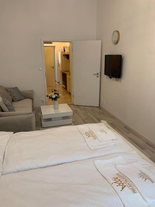 Helen Homestay Vysehrad 布拉格 外观 照片